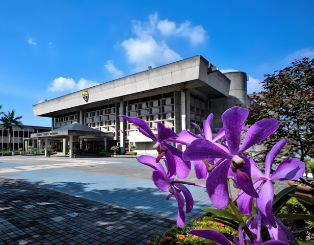 马来亚大学